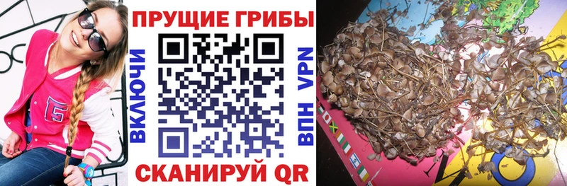 Псилоцибиновые грибы мухоморы Абакан
