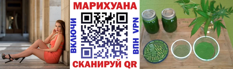 Канабис сатива  Абакан 